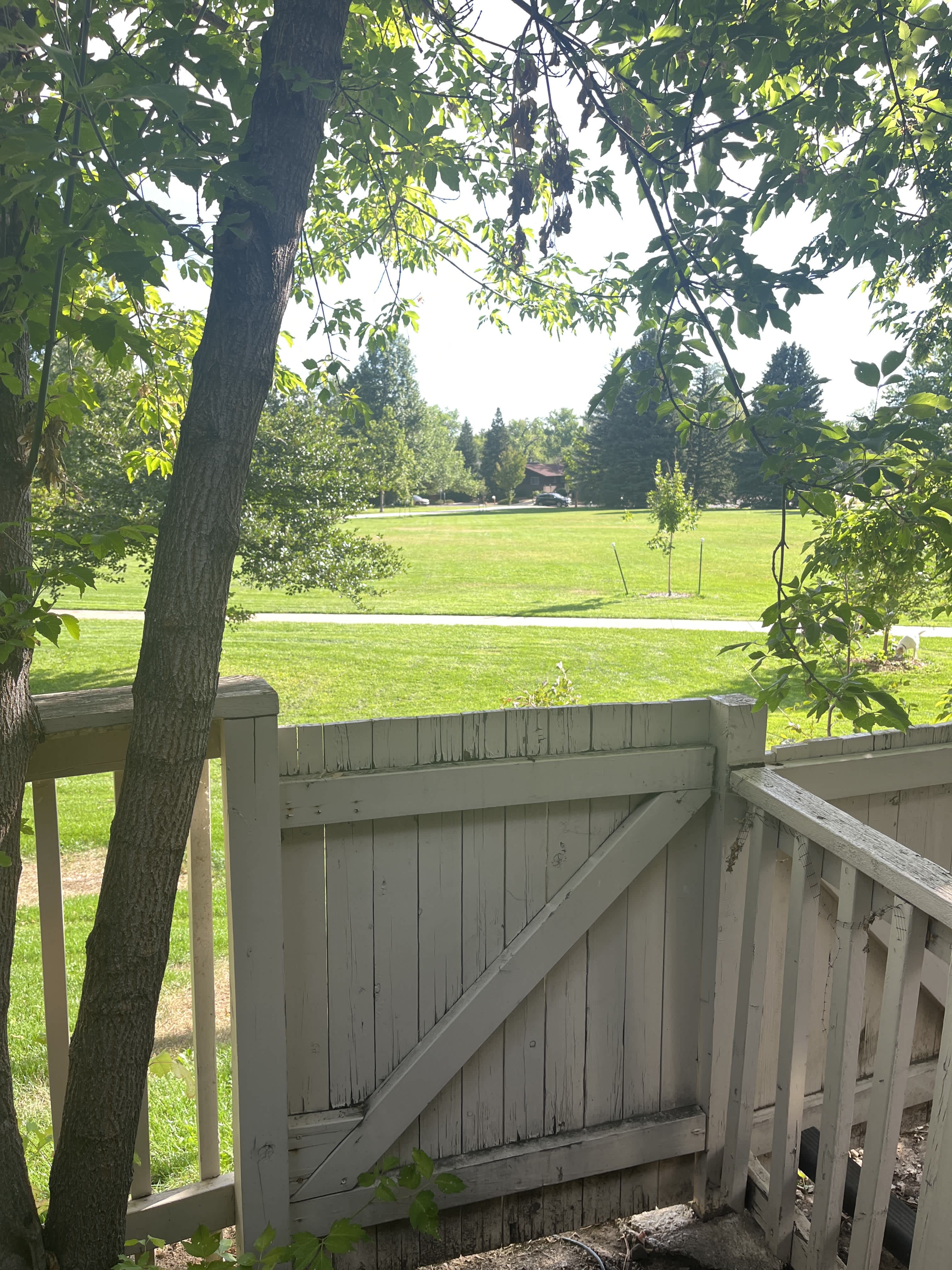 1165 Bear Mountain Dr – photo 5