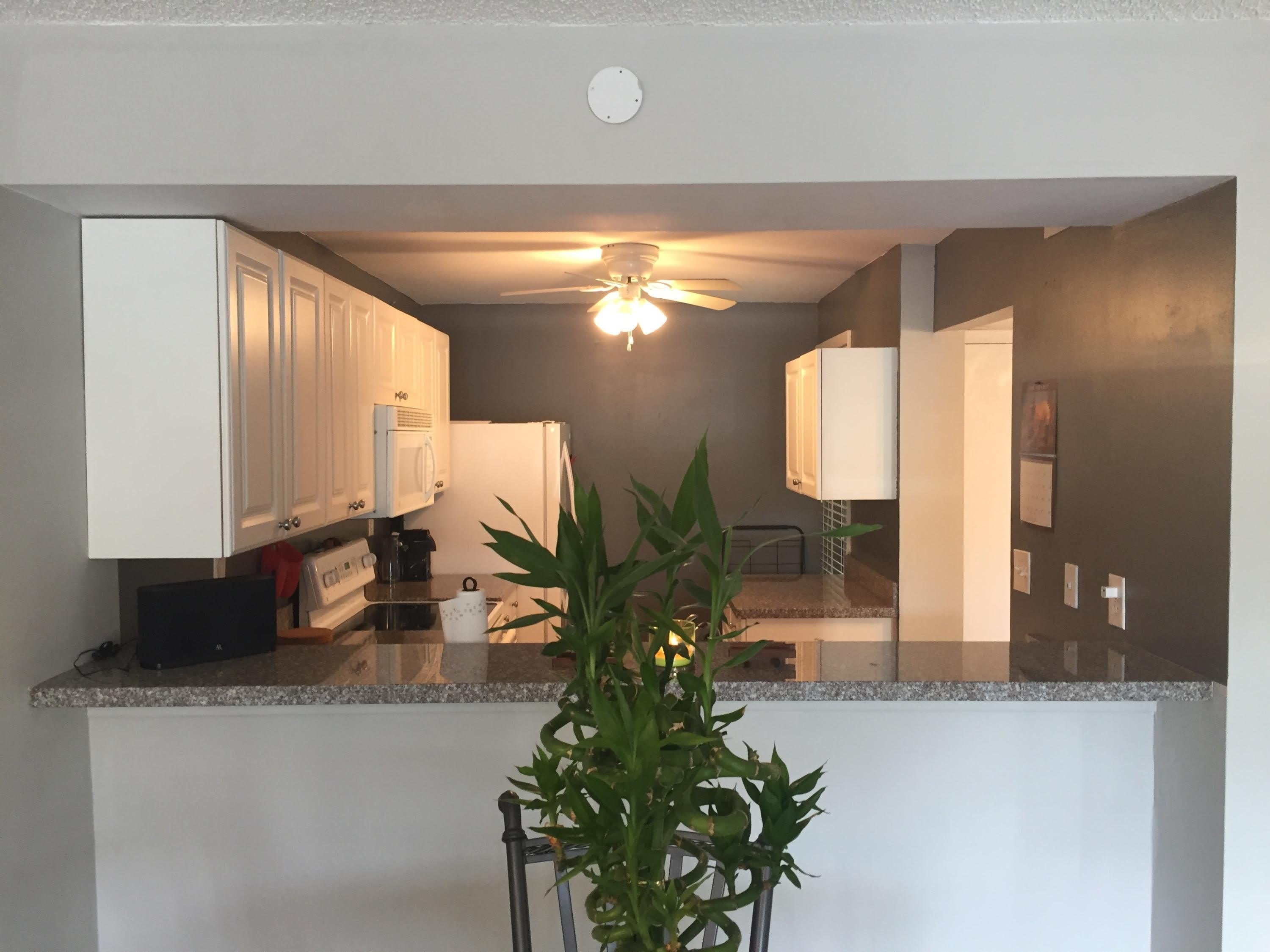 10 Royal Palm Way – photo 2