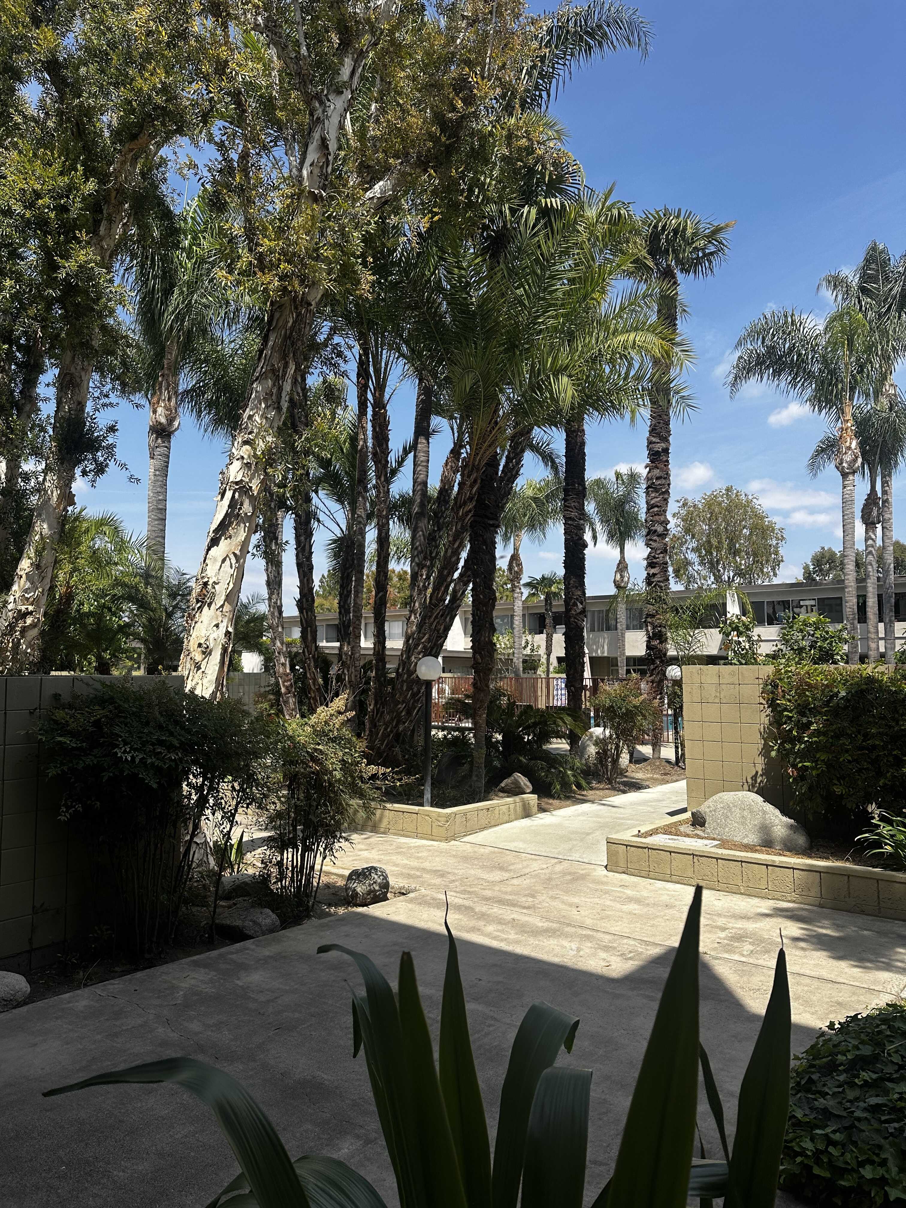 Palm Terrace – photo 2