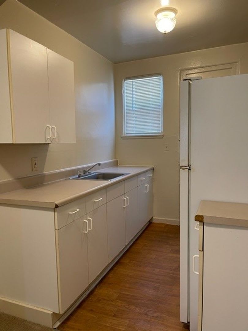Quaint Studio, Freshly Painted, in Central Berkeley – photo 5