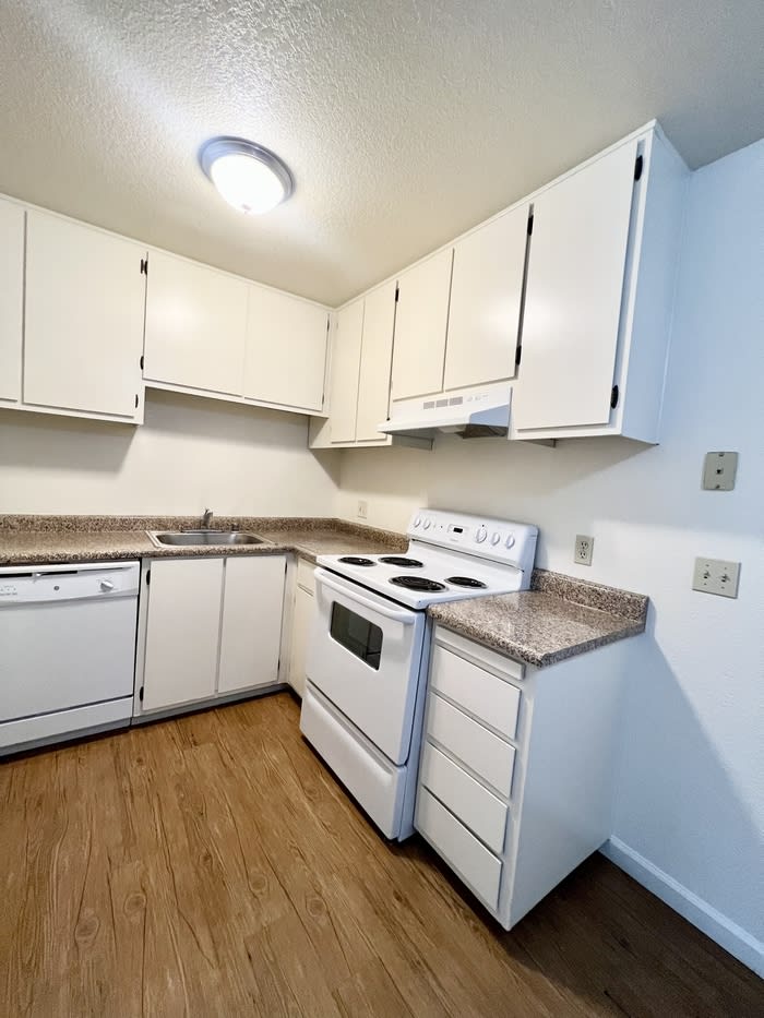 605 Queens Avenue – photo 4