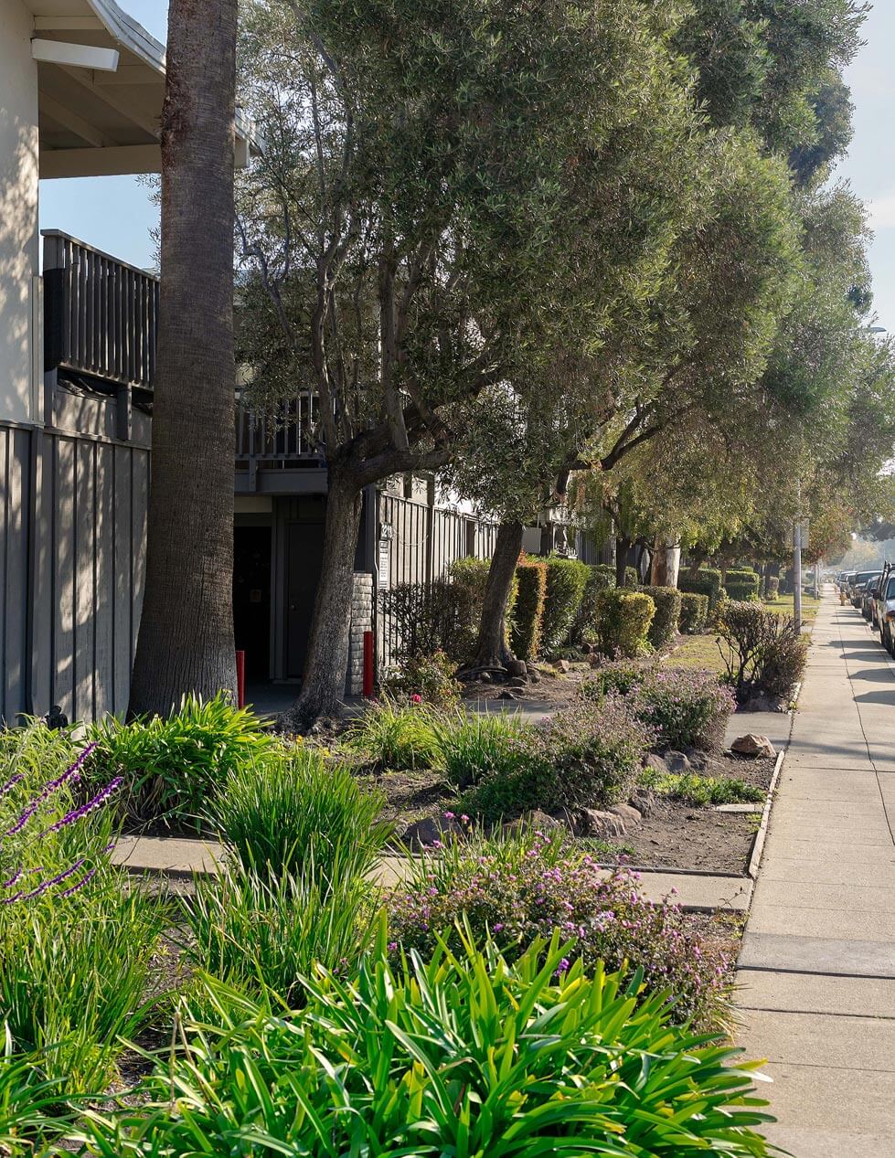 Bay Terrace – photo 3