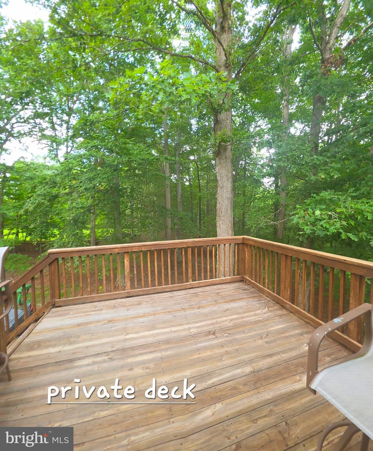 39000 Tanglewood Court – photo 2