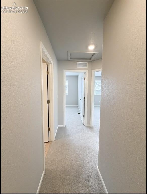 9409 Oro City Loop – photo 5