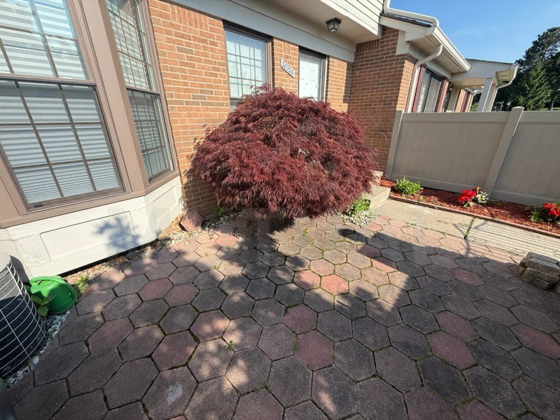 38926 Country Circle – photo 2