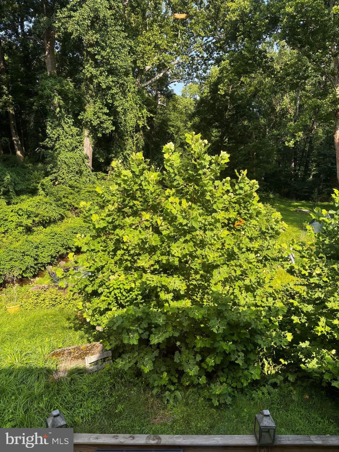 2212 OLD COURT ROAD – photo 5