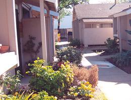 5581 Mendocino Blvd. – photo 2