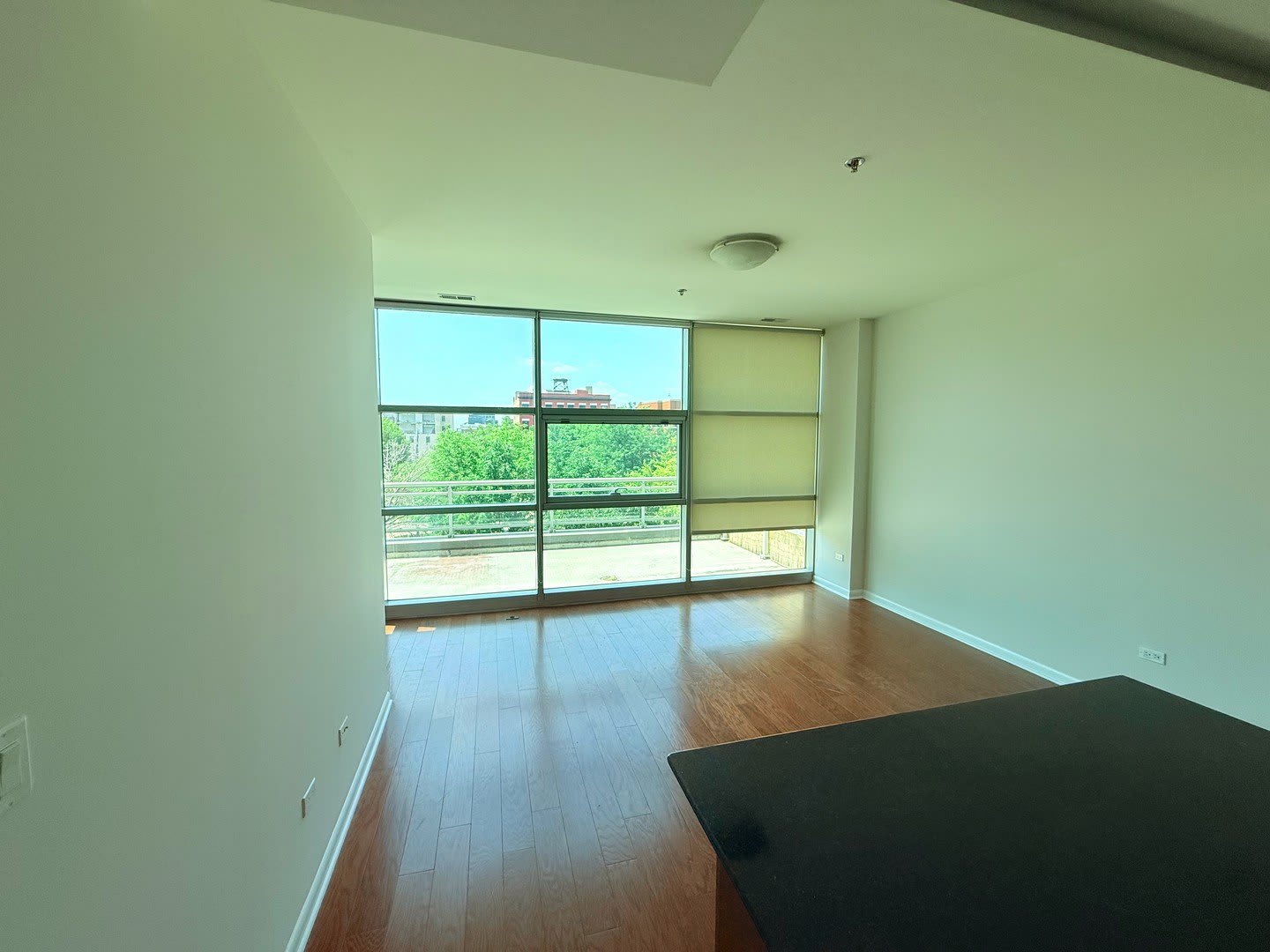 225 S Sangamon Street – photo 4