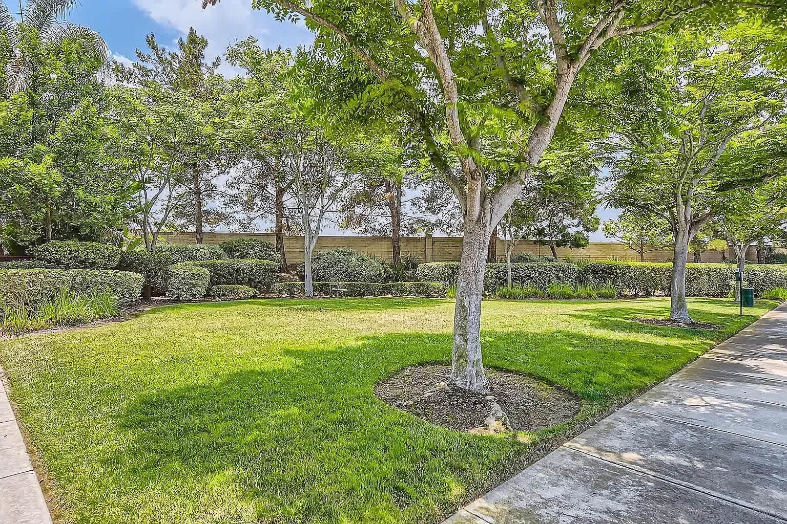 13295 Calle Del Campo – photo 5