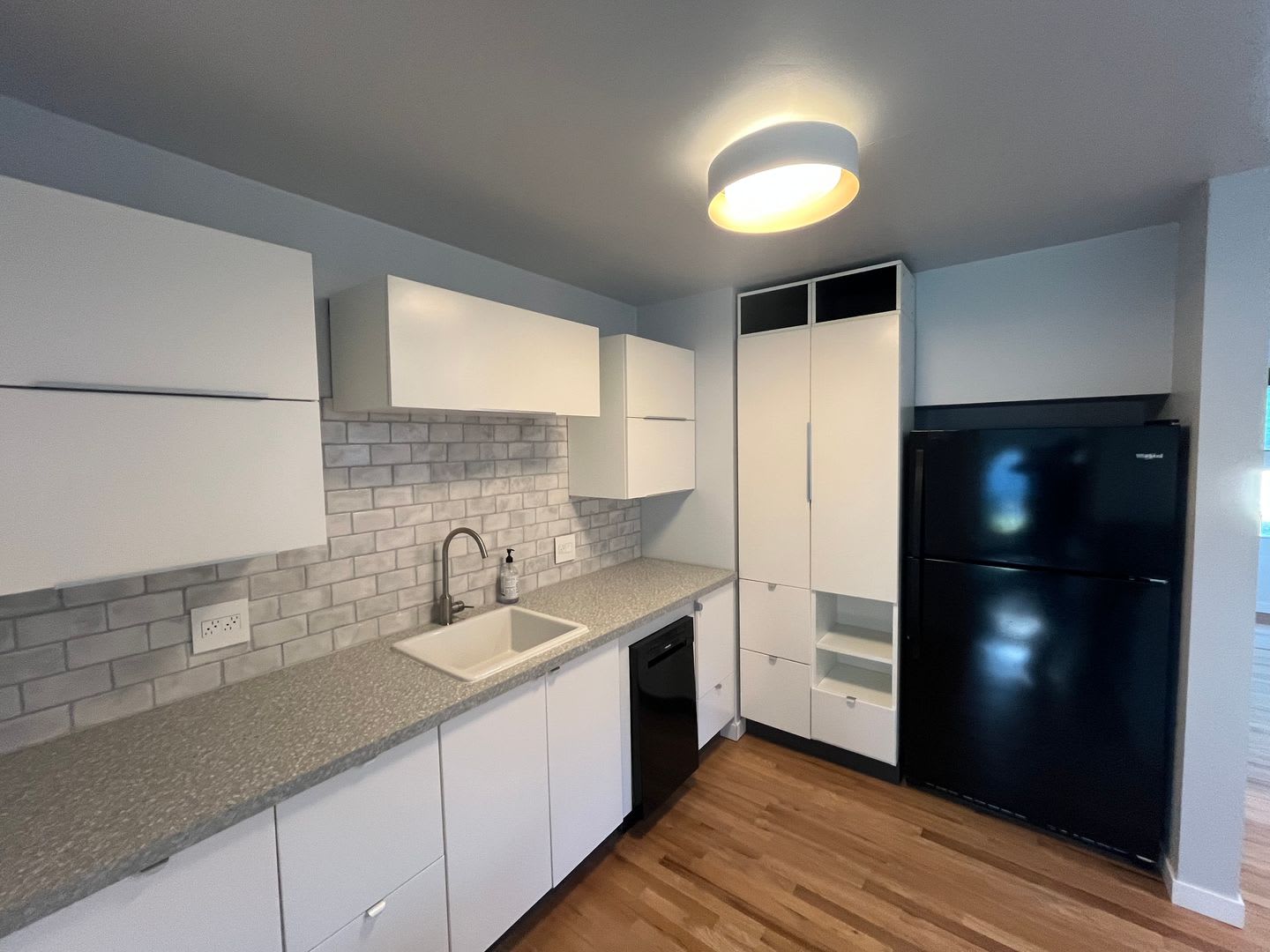 Newly Renovated 2 Bed 1 Bath – photo 4