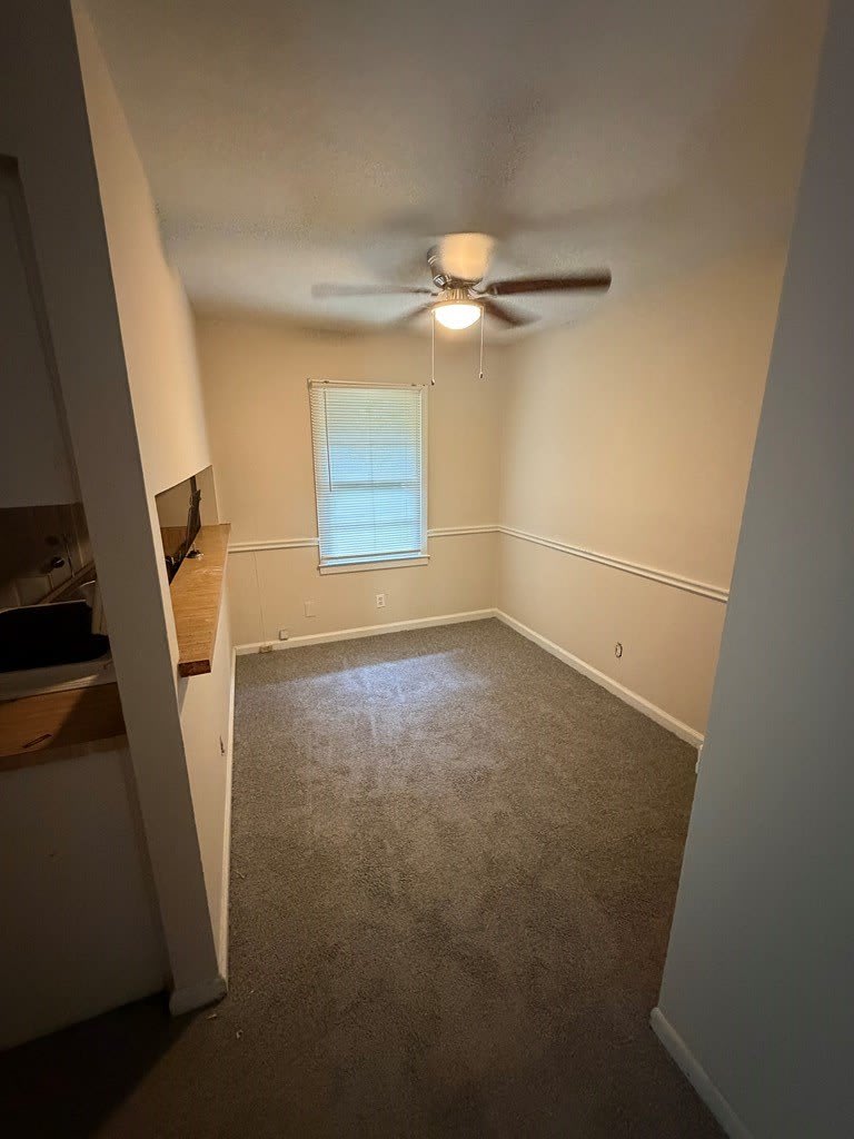 1537 Celia Drive – photo 5
