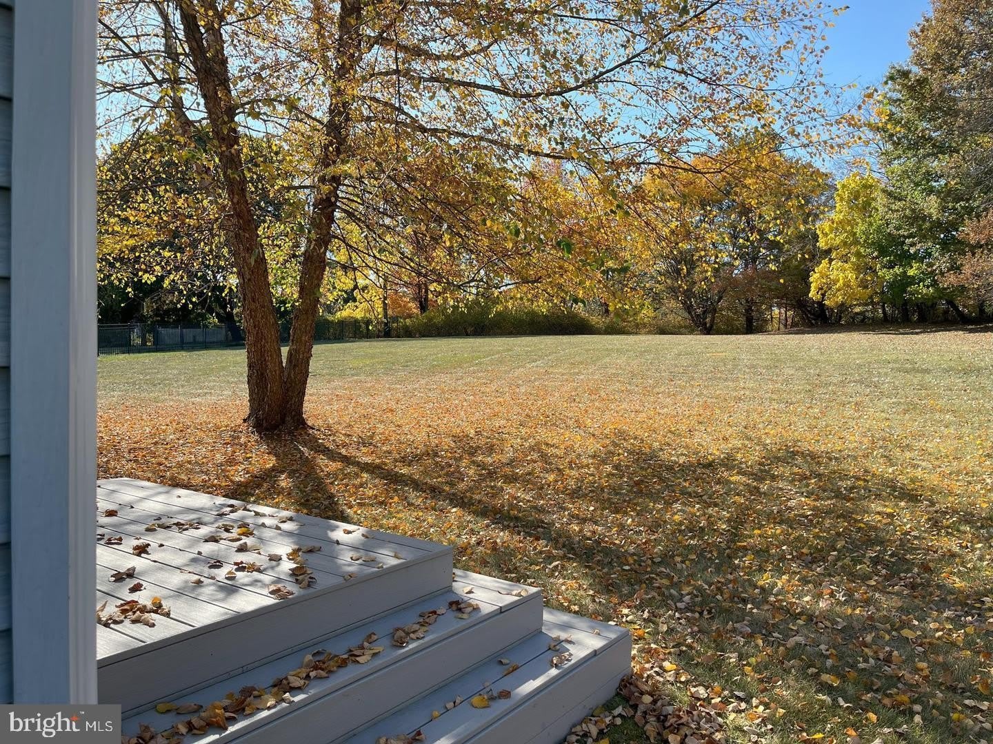 56 W Windrose Drive – photo 5