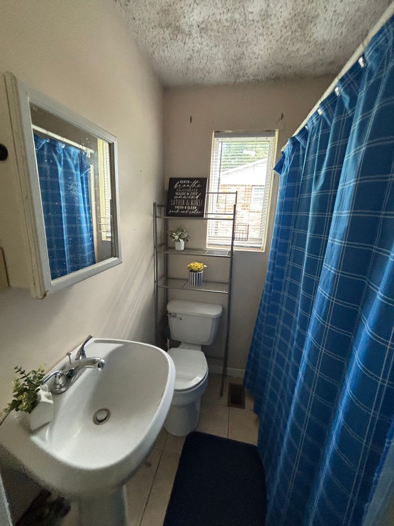 COMING SOON! 3 Bedroom House and 1 bath – photo 4