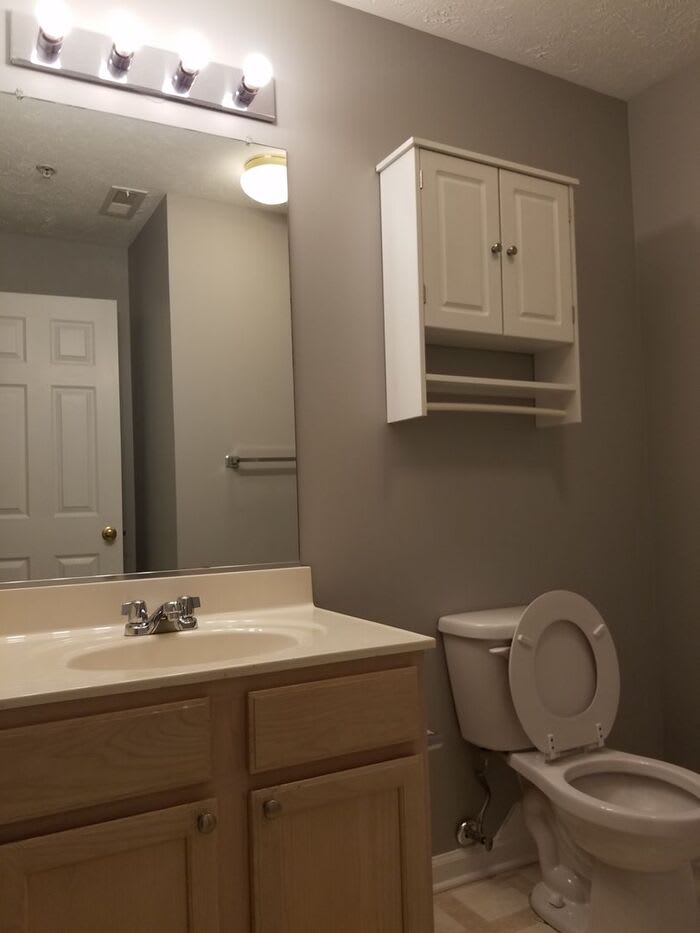 99 Snow Pine Court – photo 4