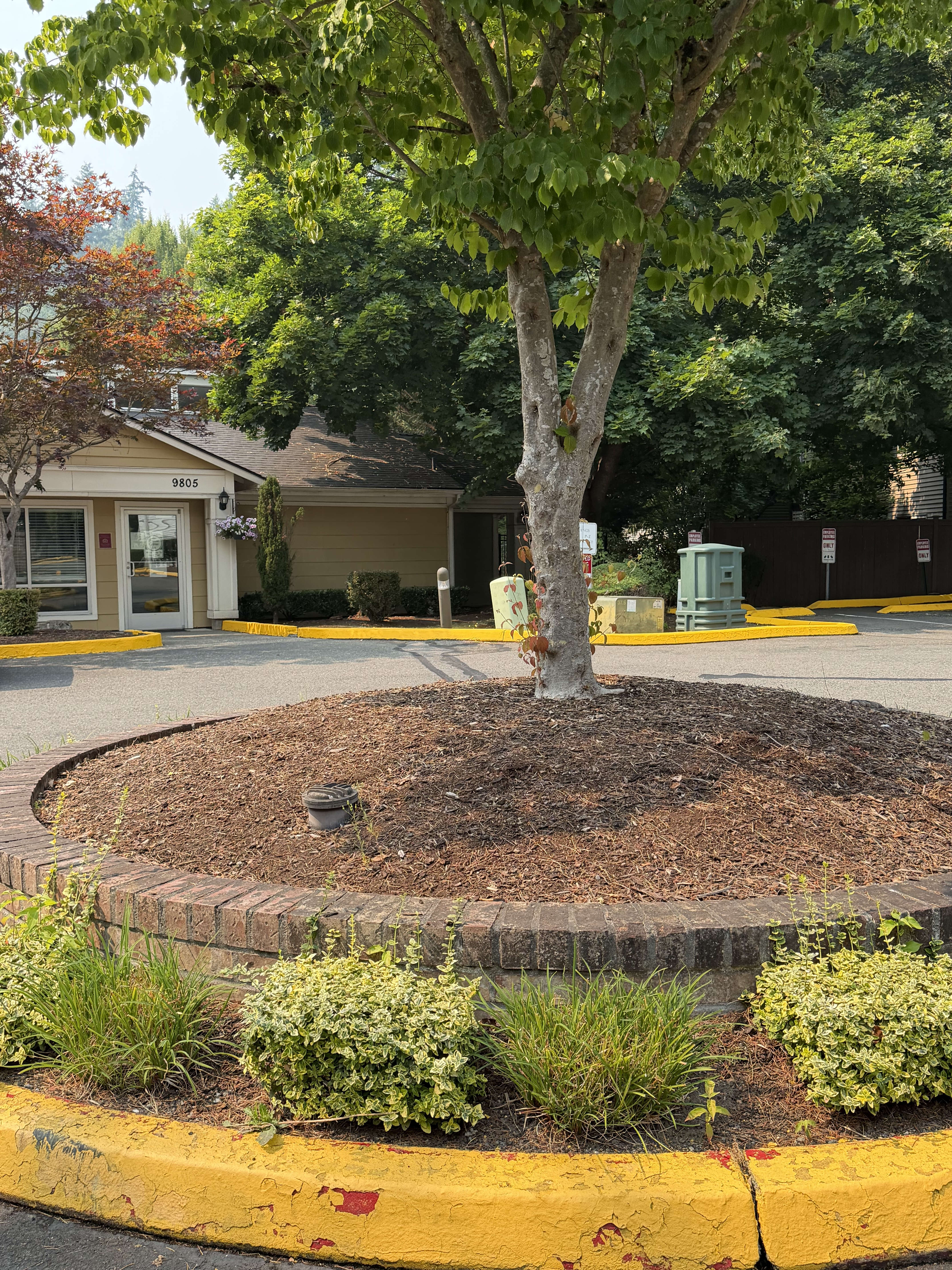 9805 Avondale Rd Ne – photo 1