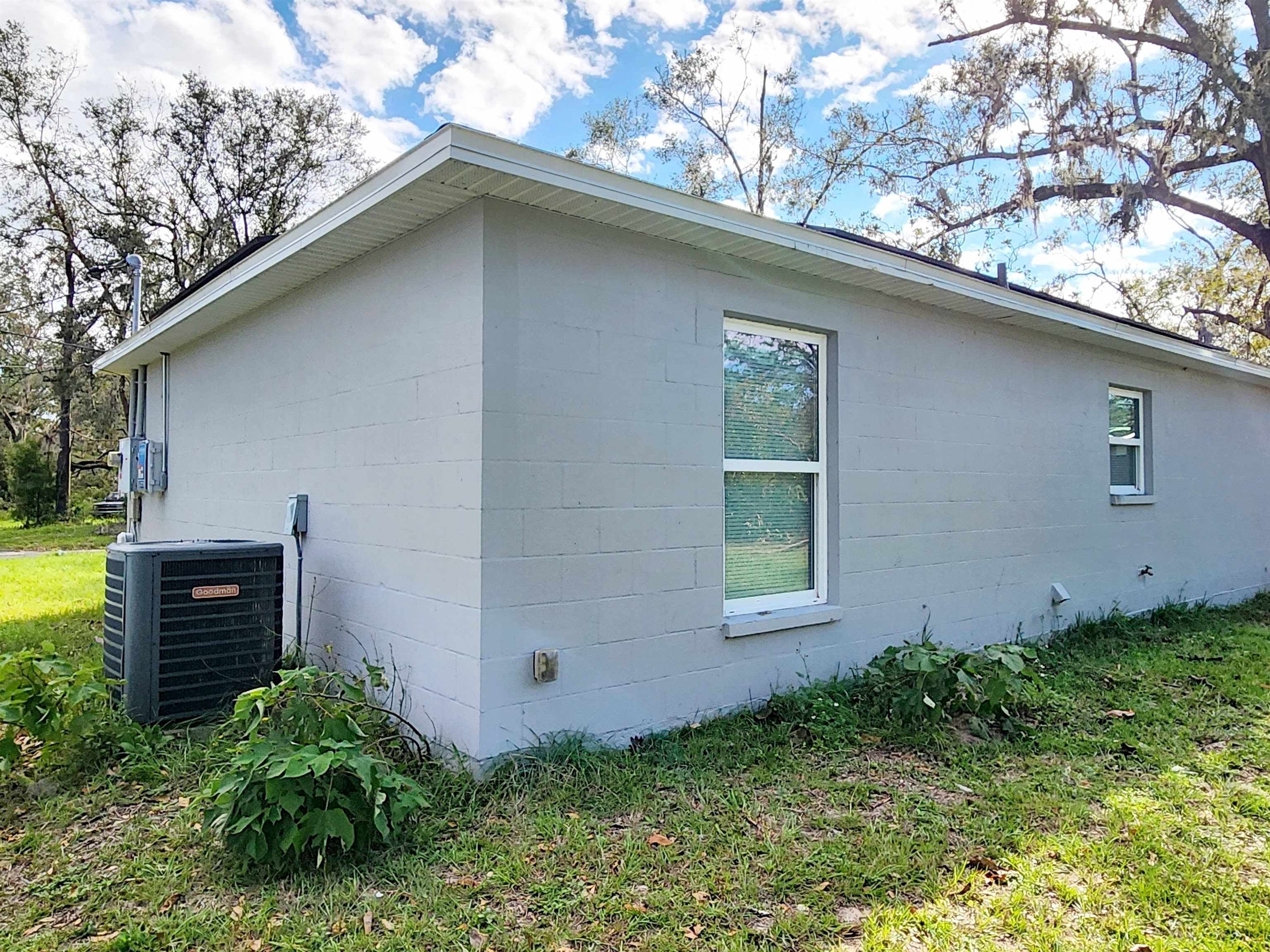 206 Alice Street – photo 5