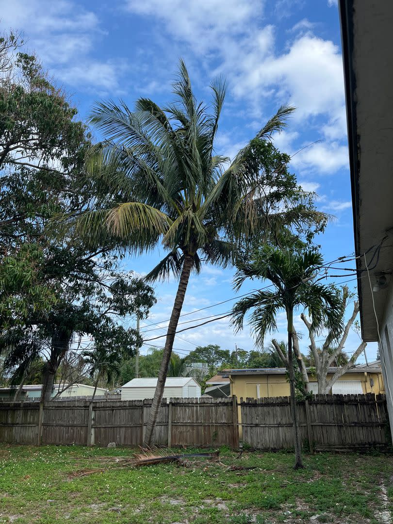 Newly renovated 3/2 for rent! – photo 4