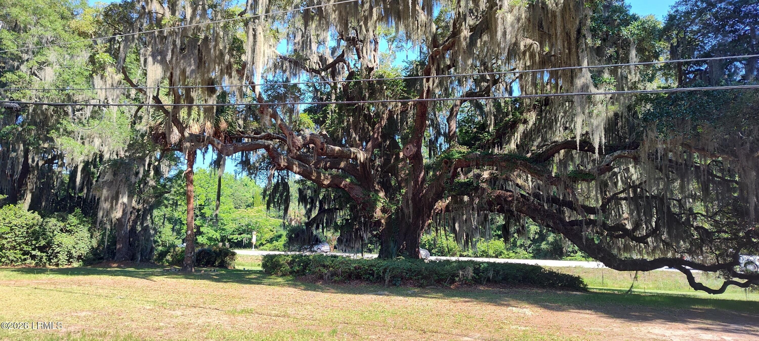 967 Sea Island Parkway – photo 4