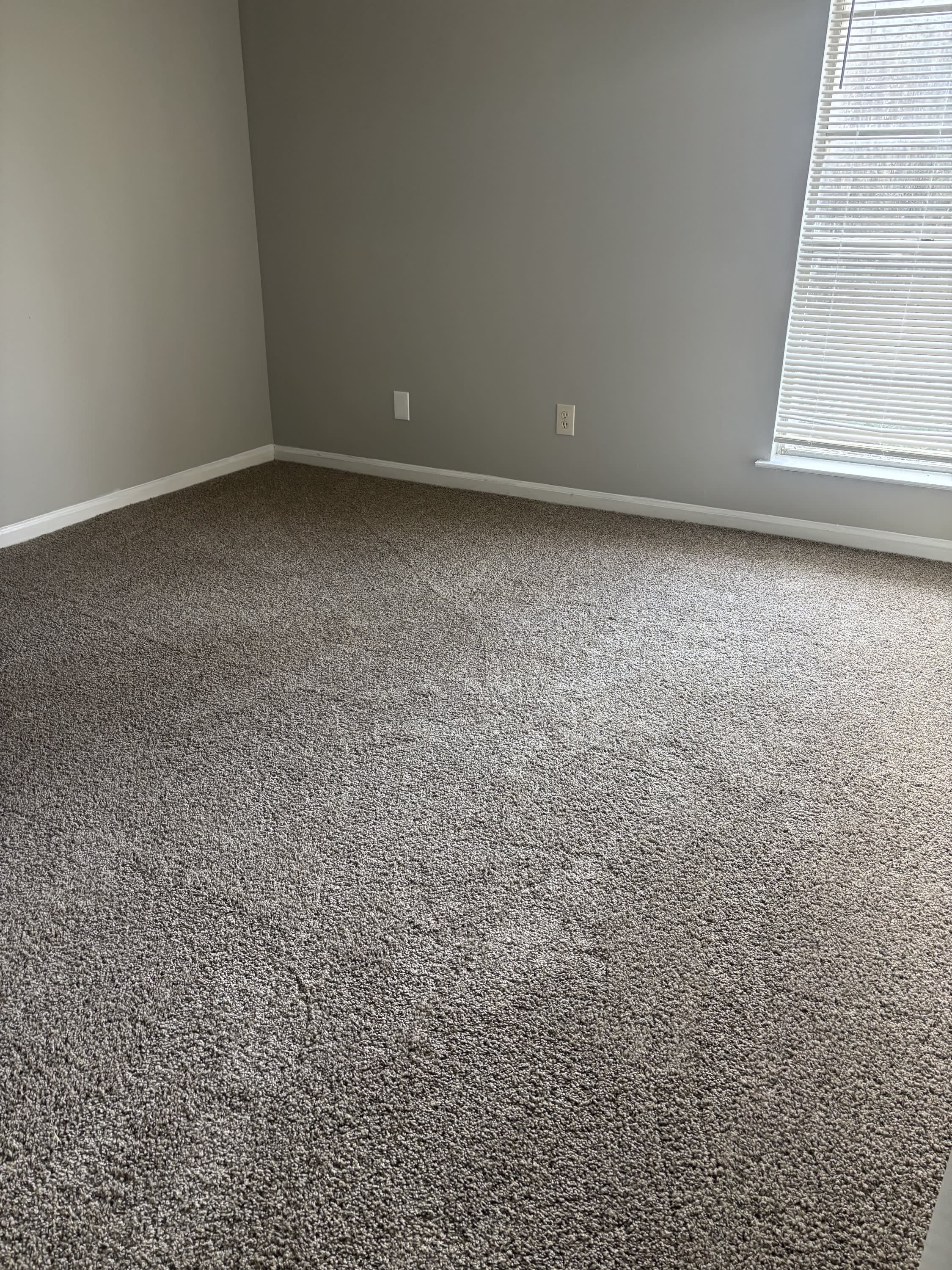 5207 Breckenwood Drive – photo 5
