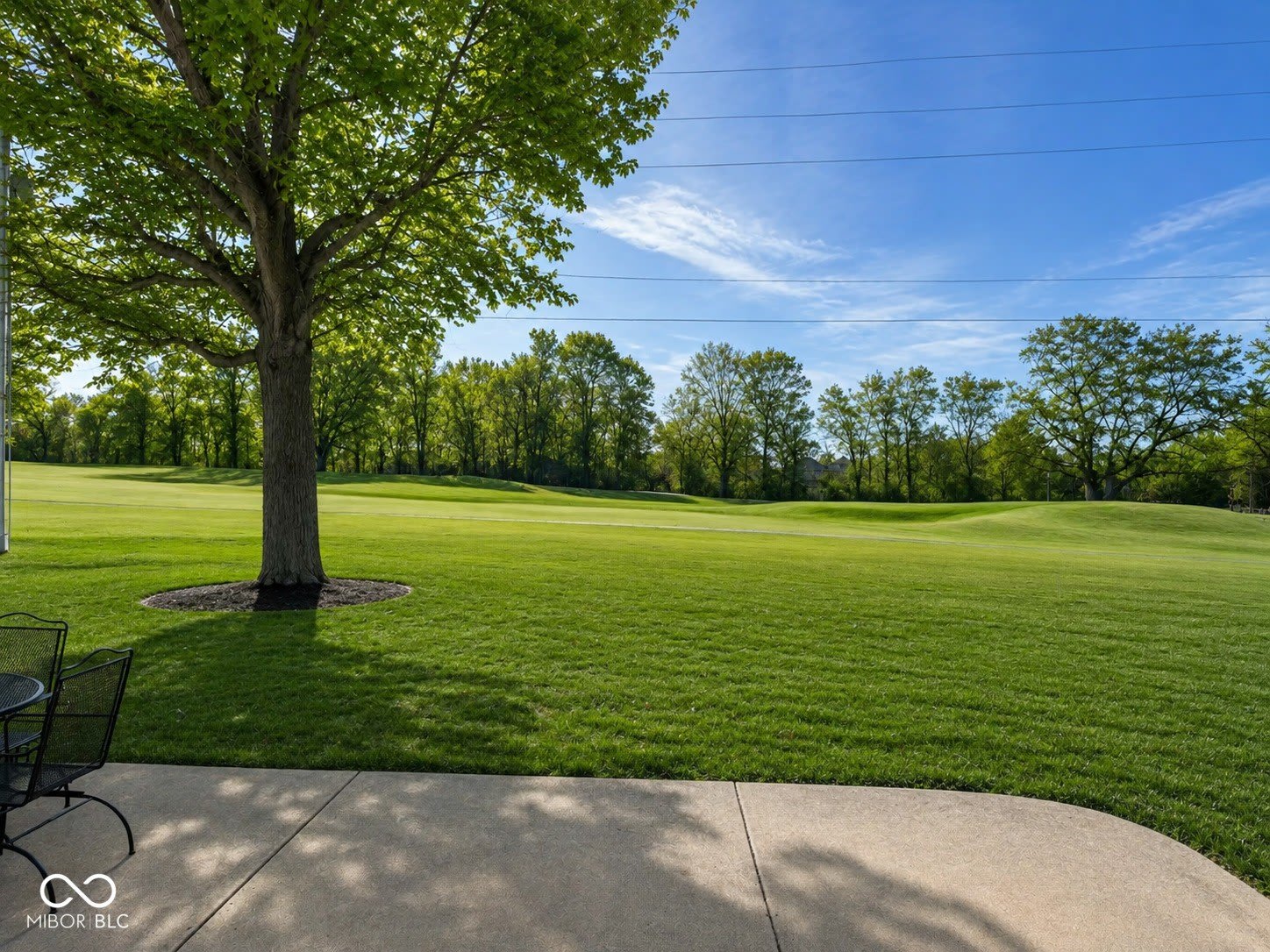 3043 Olive Branch Road – photo 2