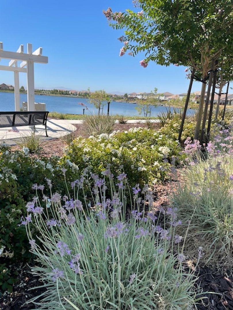 Coming Soon! Beautiful River Islands Townhome – photo 3