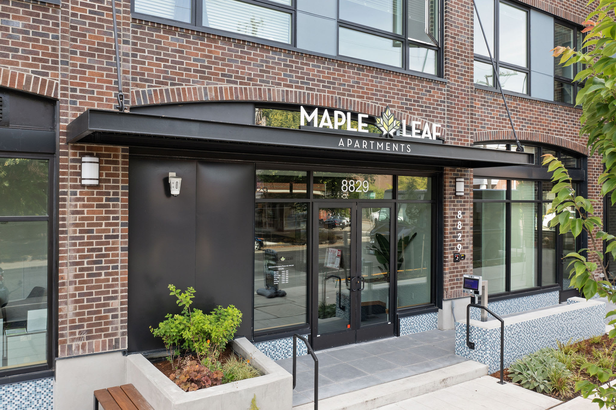Maple Leaf – photo 1