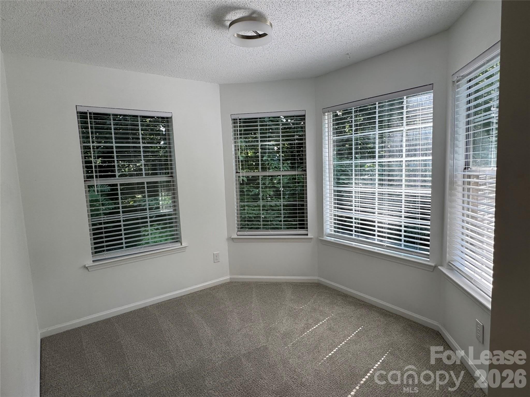 6523 Clavell Lane – photo 5