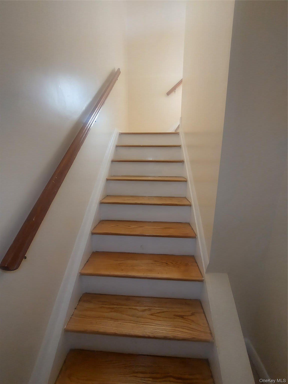 1123 Schenectady Avenue – photo 3