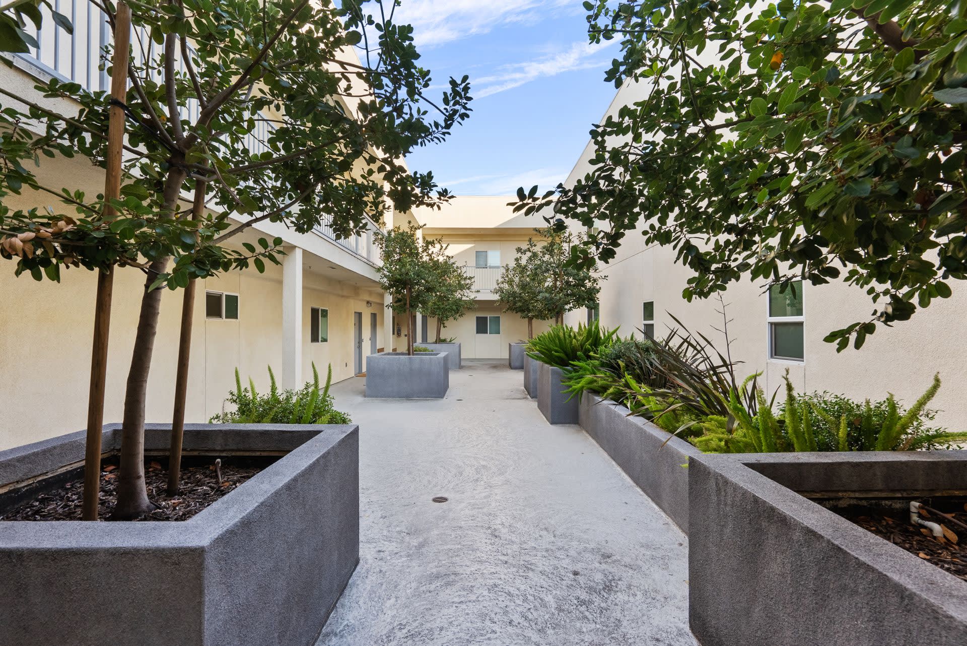 NoHo Beck 6320 LLC – photo 3