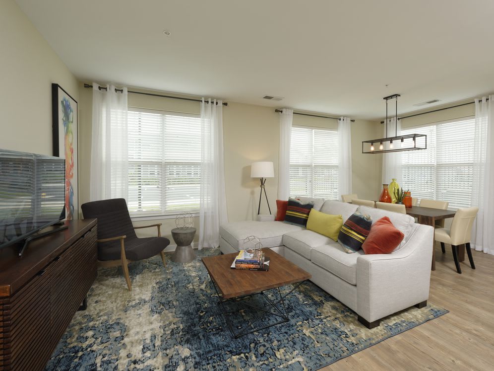 Avalon Laurel – photo 4
