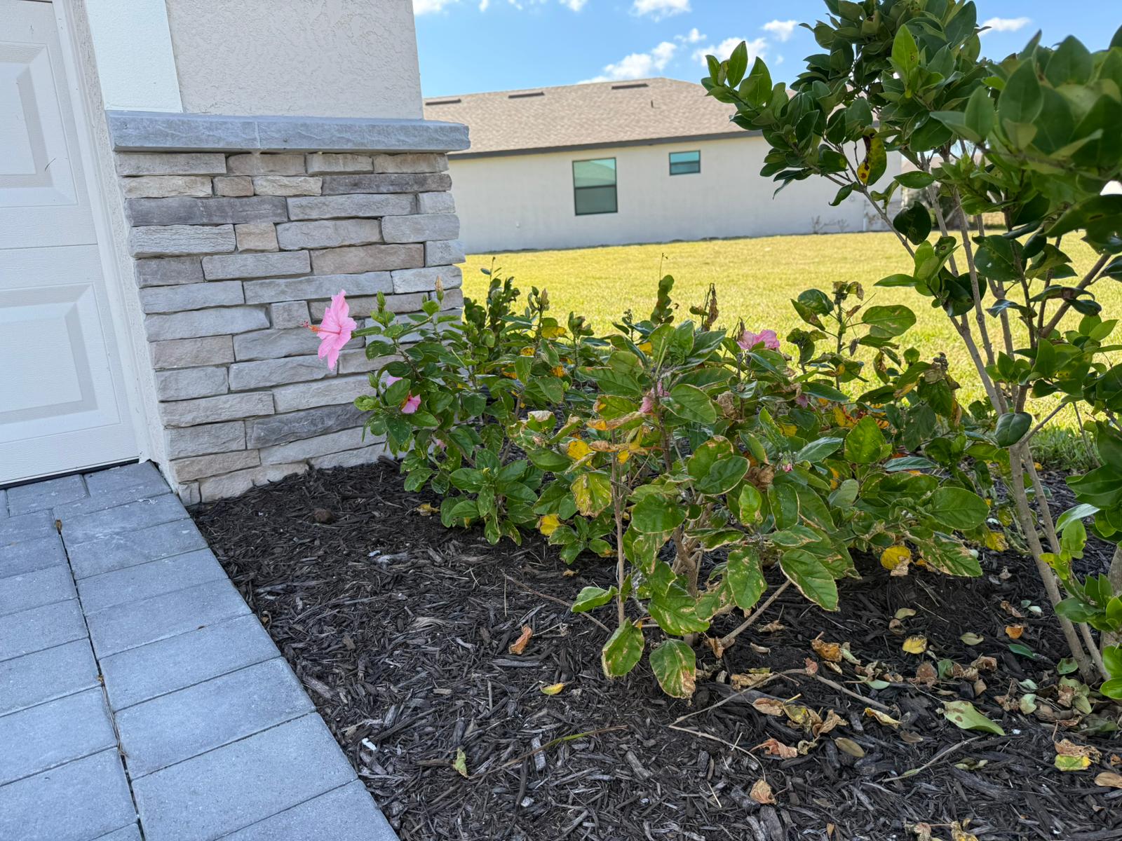 1553 Saddlewood Cir – photo 4