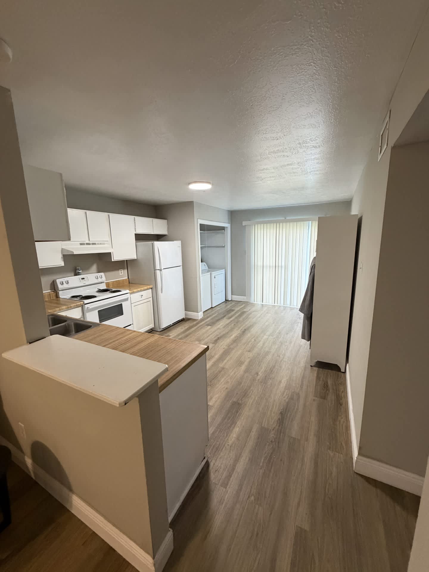2904 Prairie Flower Circle – photo 4