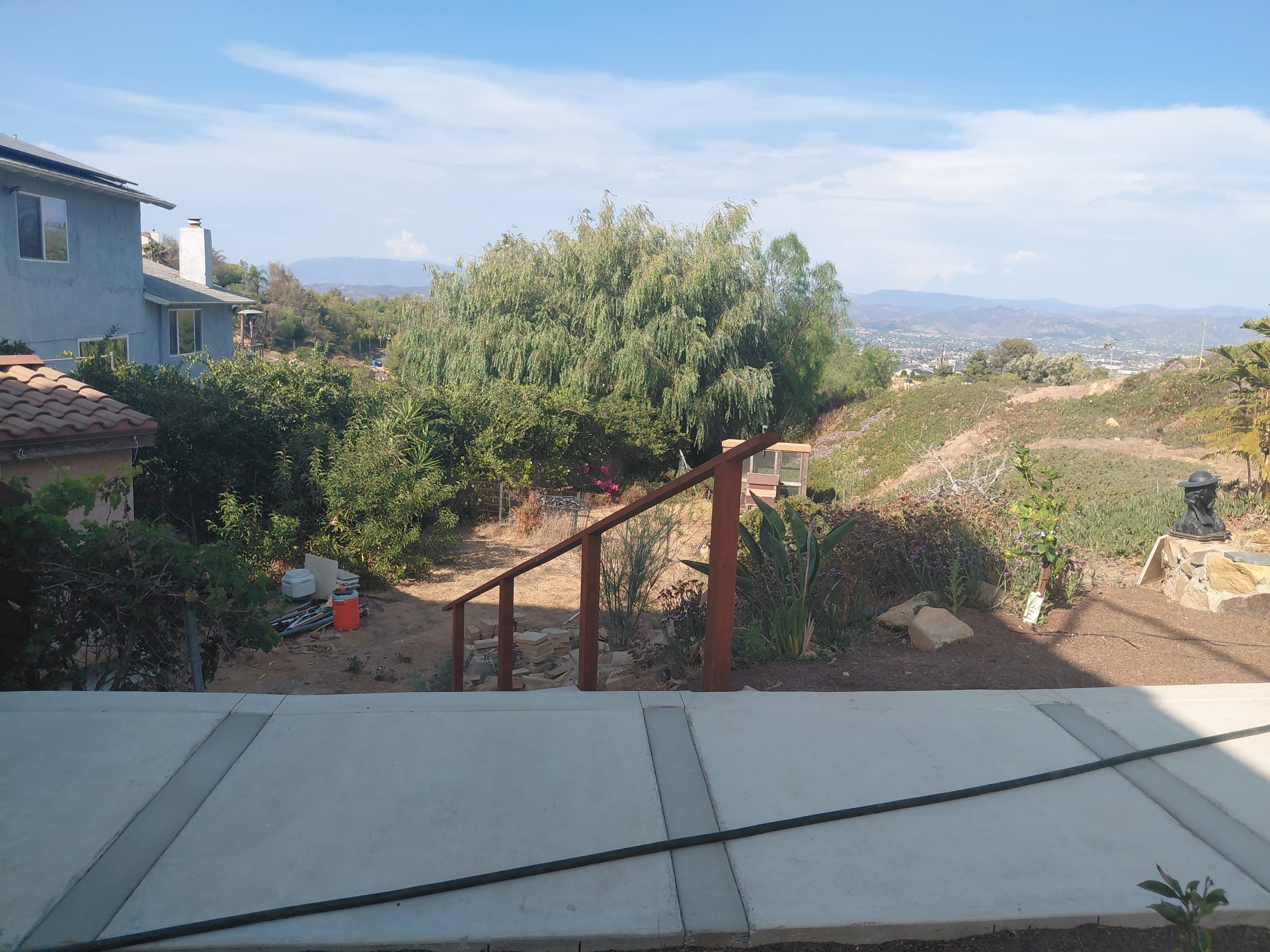 401 Washingtonia – photo 1