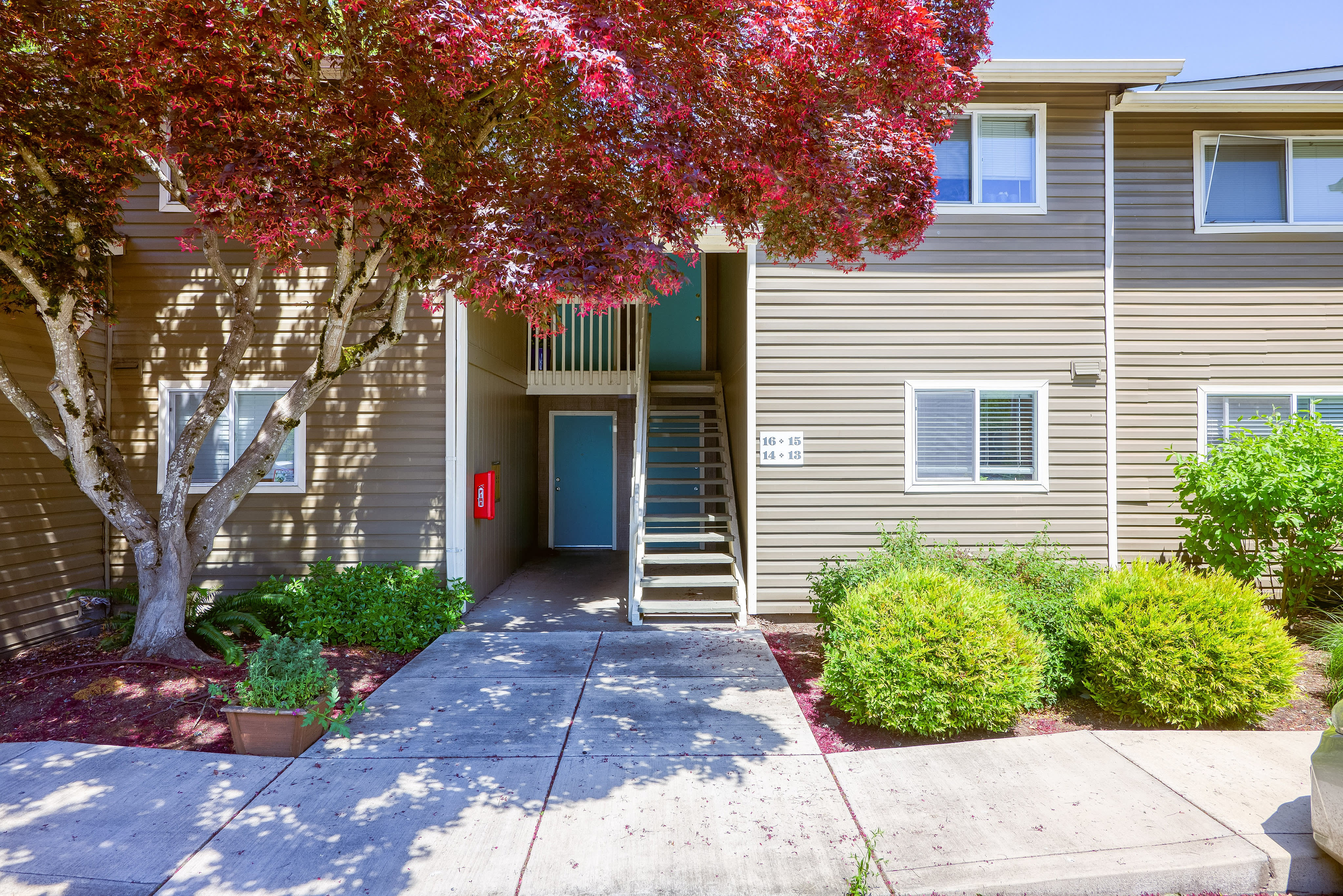 Chalet Apartments – photo 3