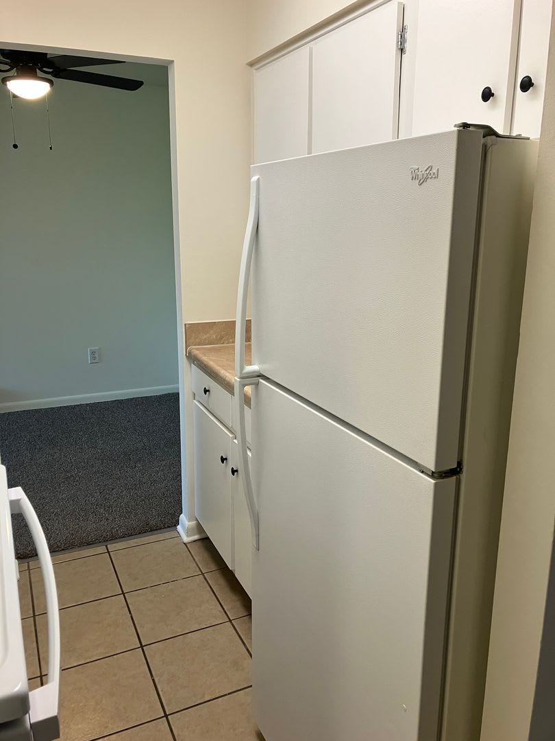 Convenient & Newly Updated 1-Bedroom Apartment – Available Now! – photo 3