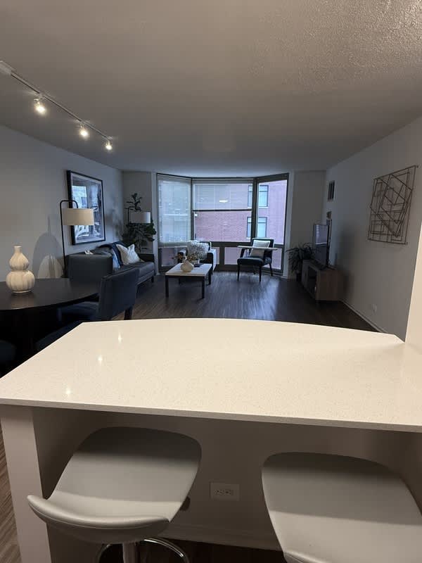 1135 N Dearborn St – photo 4