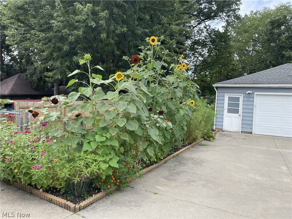 2562 3rd Street – photo 2