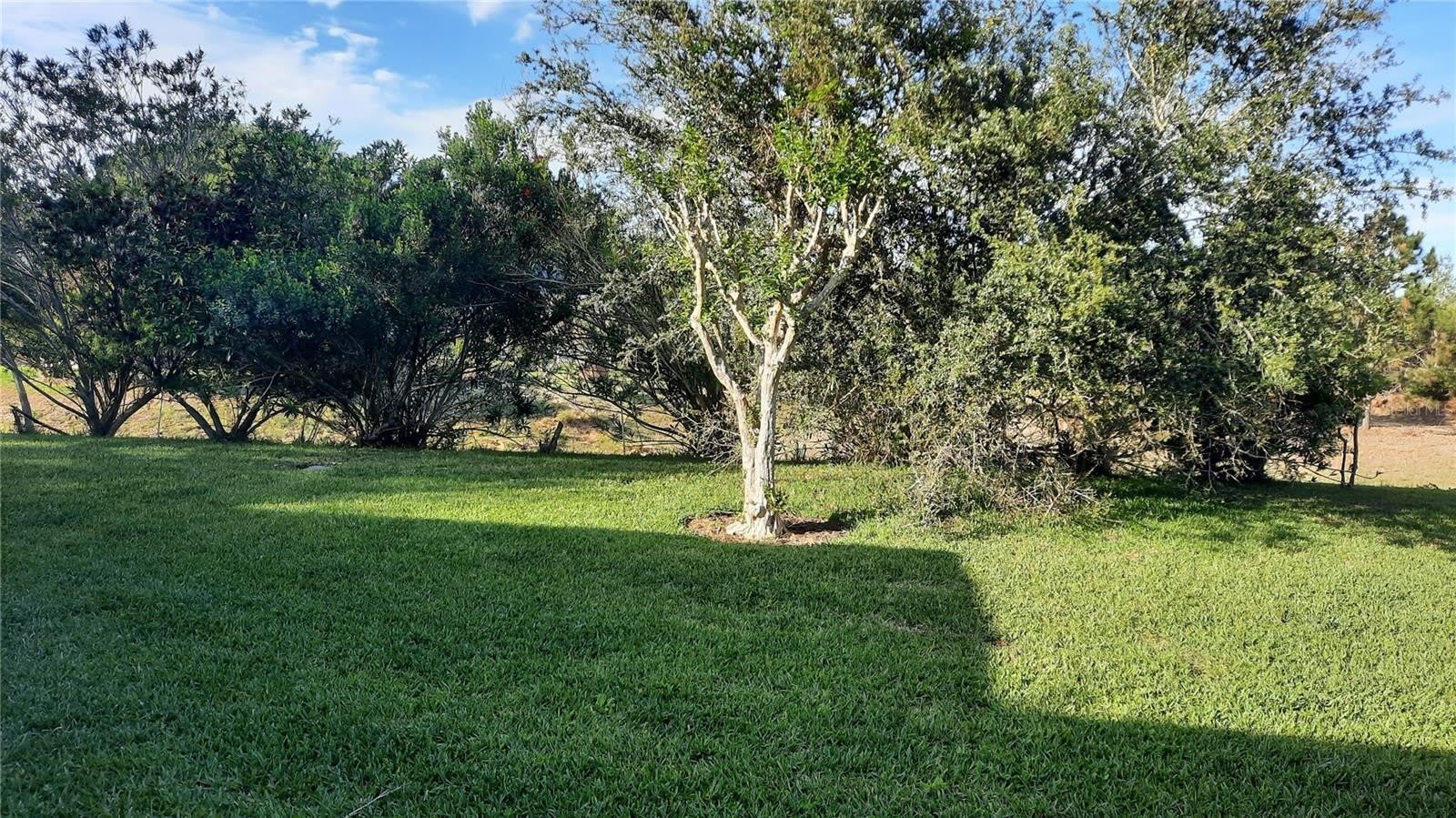 1315 ELLI Circle – photo 3
