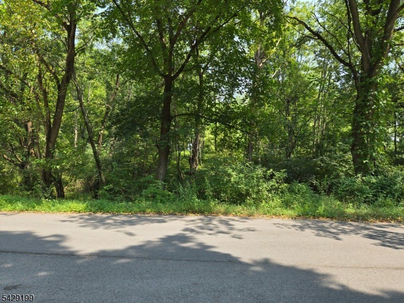 1041 Ridge St – photo 1