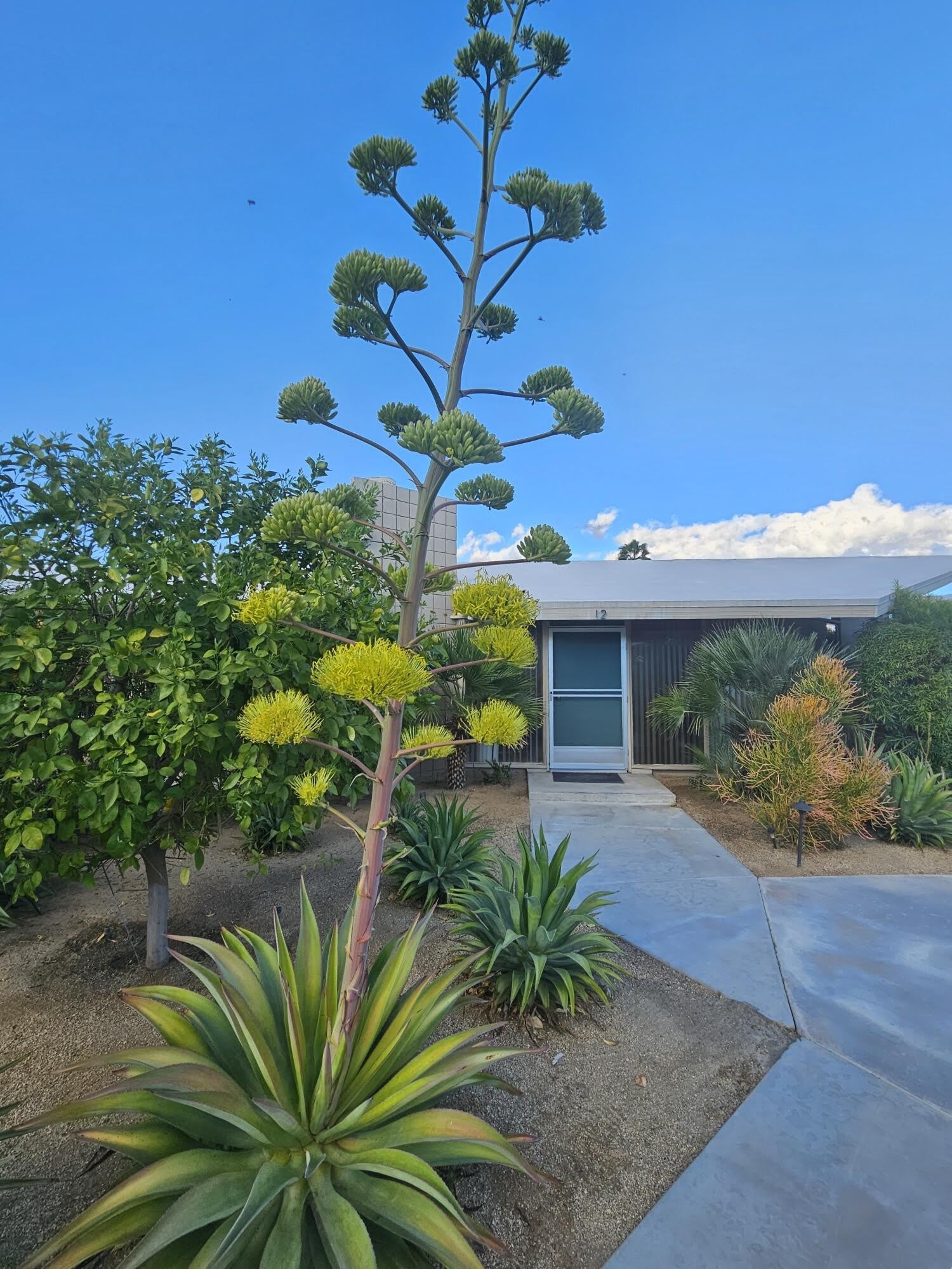 37800 Da Vall Drive – photo 2