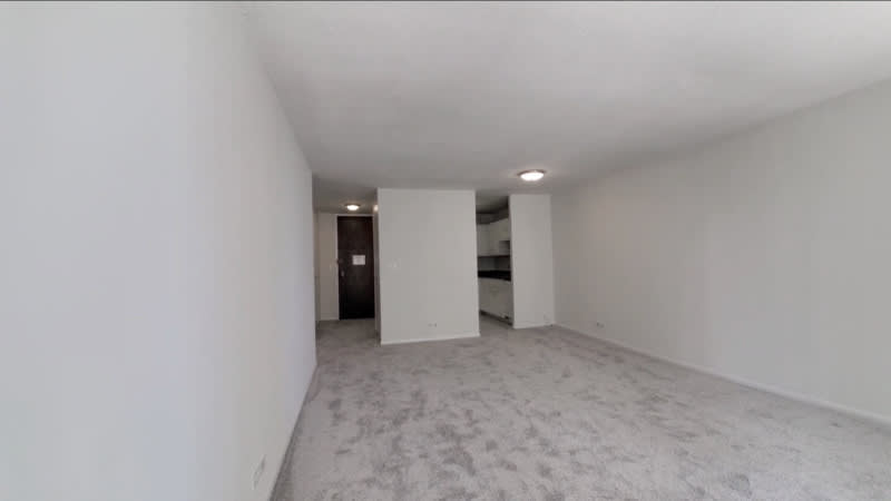 60 E Scott st – photo 2