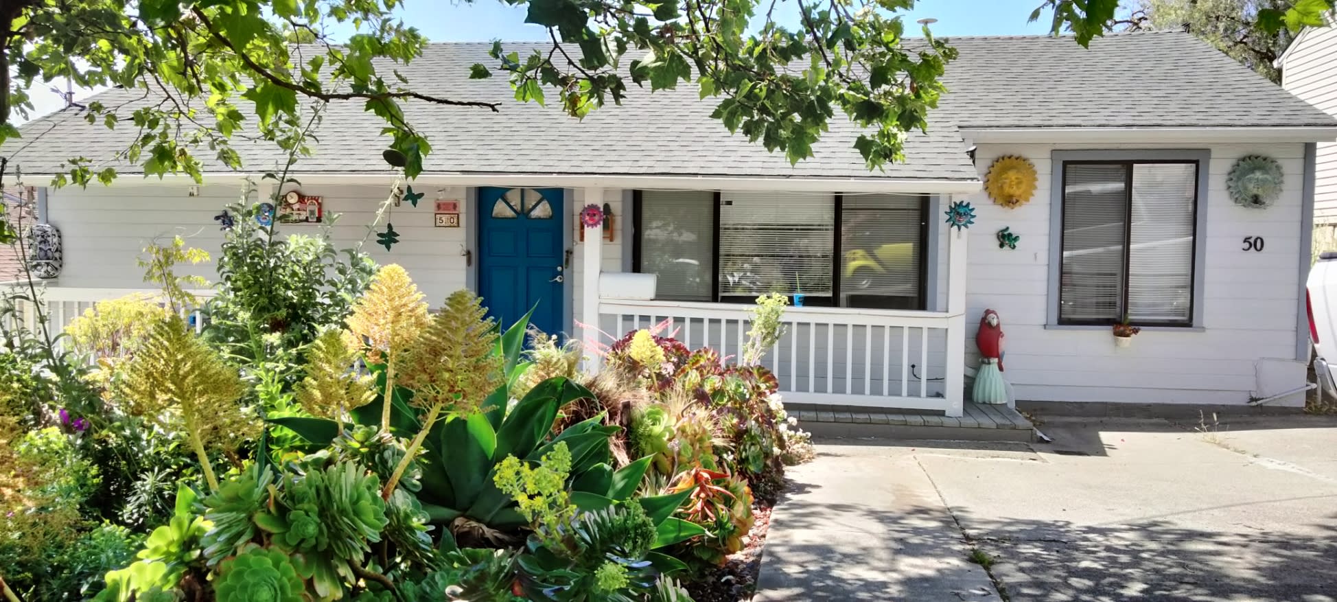 50 La Cruz Avenue – photo 3