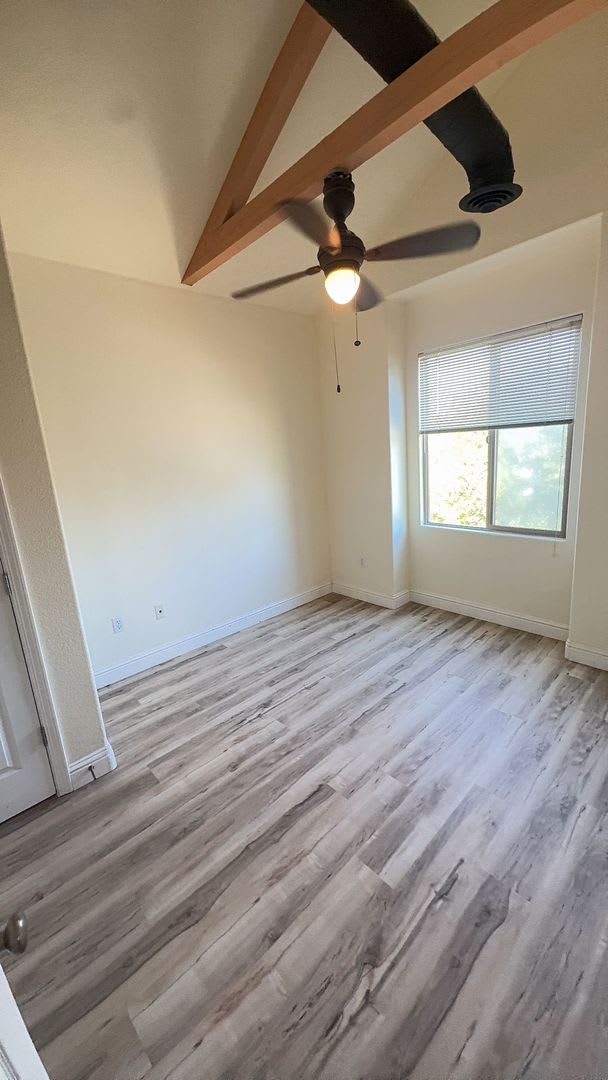 West Davis Apartment – photo 4