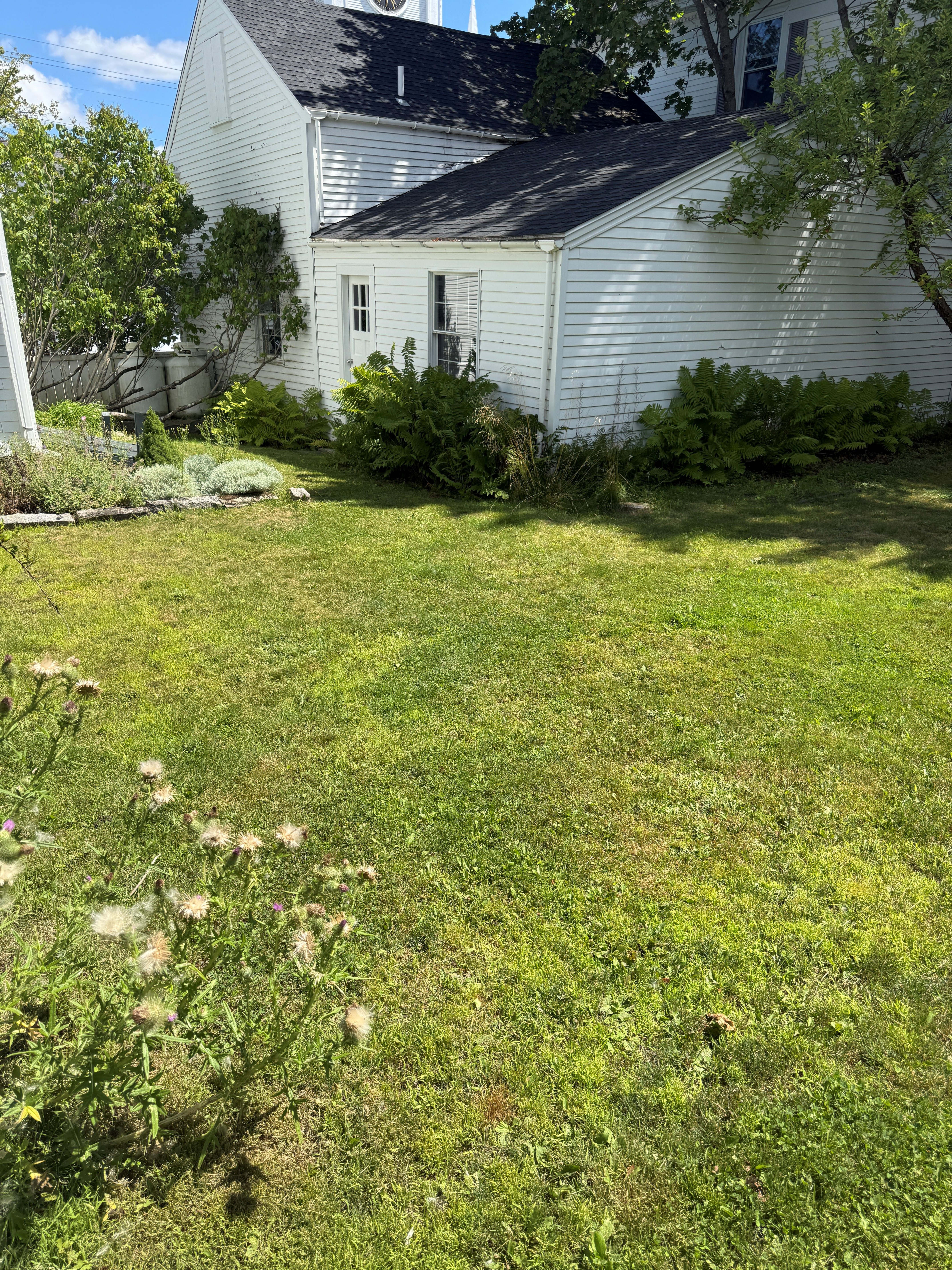 14 Court Street – photo 5