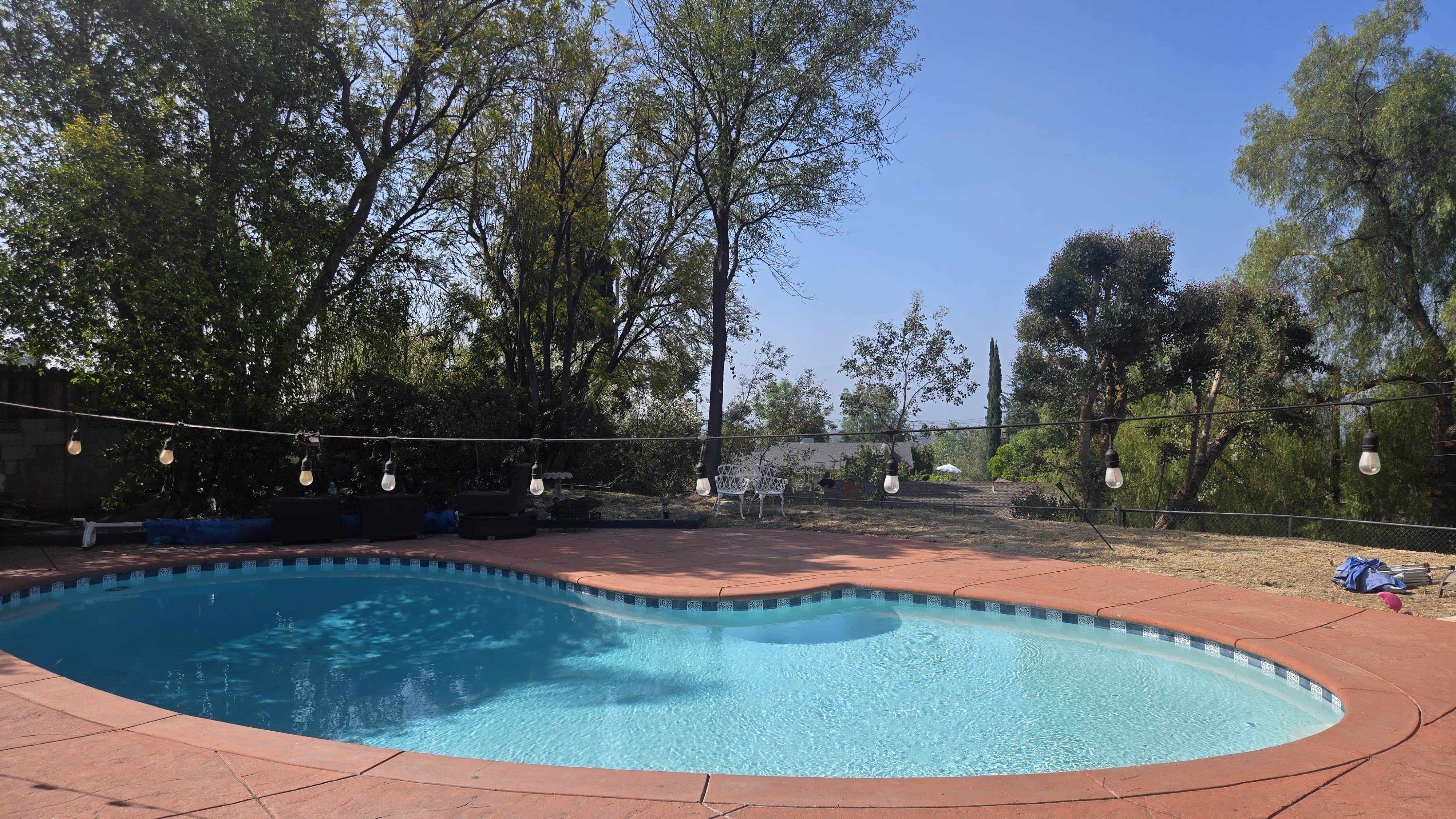 22438 Michale Street – photo 5