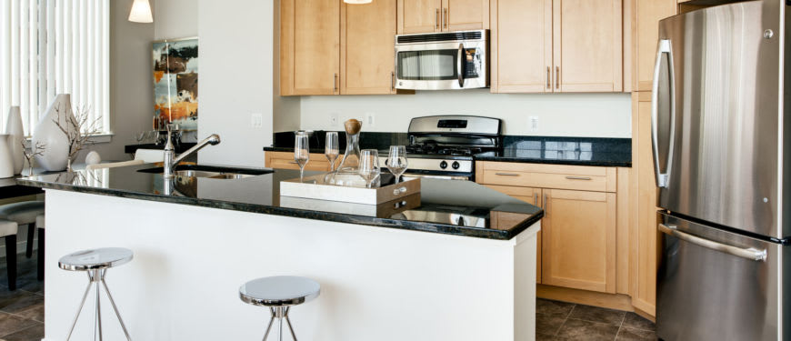 The Palatine Apartments – photo 4