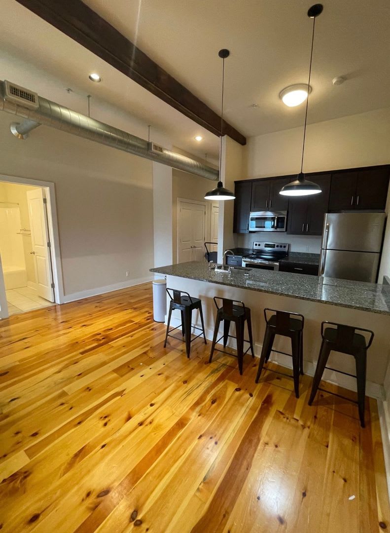 1 Bedroom 1 Bathroom Luxury Apartment in Cohoes – photo 3