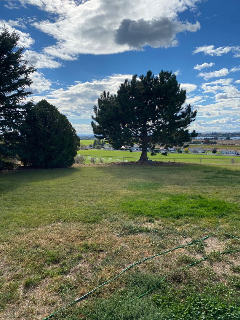 Large Home for Rent on Airway Dr, Beautiful Backyard Views! – photo 5