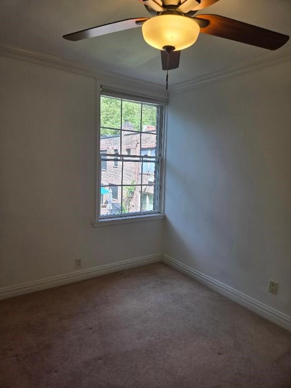 39-52 47th St – photo 5