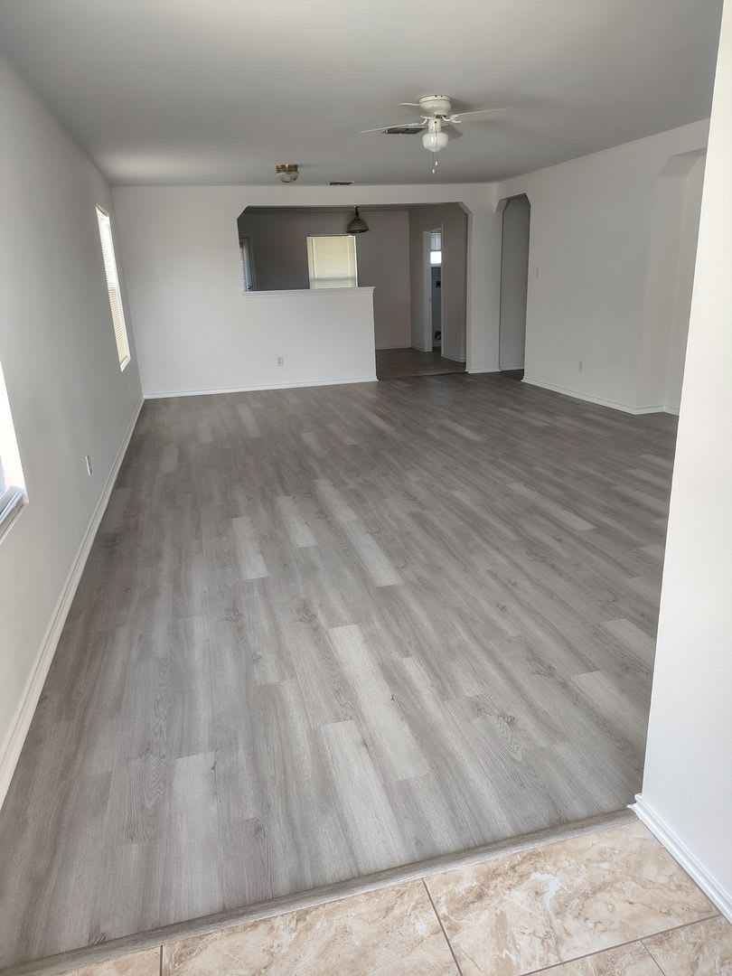 25714 Gold Yarrow – photo 4